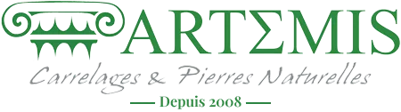 Logo ARTEMIS